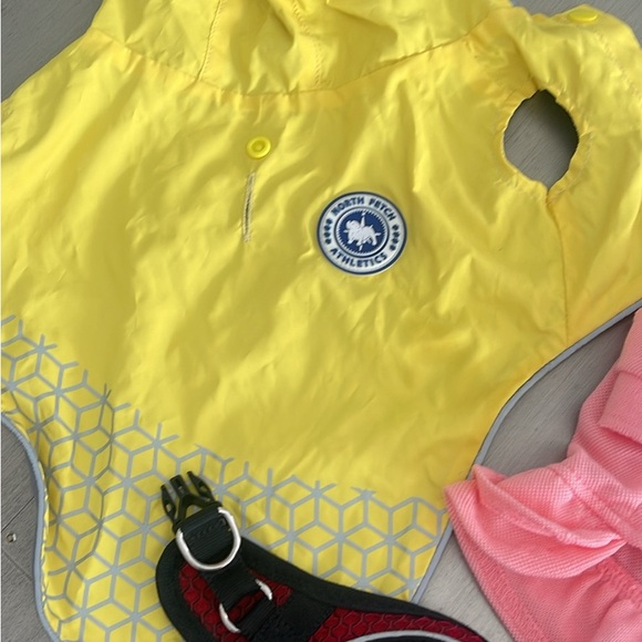 Assorted dog accessories - Picture 4 of 5